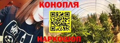 индика Гай