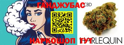 тгк Гатчина
