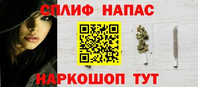 прущие грибы Гагарин
