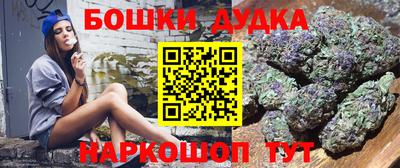 индика Гай