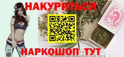 индика Гай