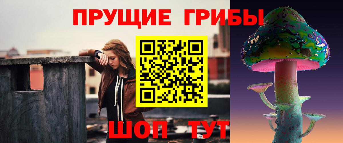 Луга  Галлюциногенные грибы Magic Shrooms  Вход с VPN  Галлюциногенные грибы мицелий 