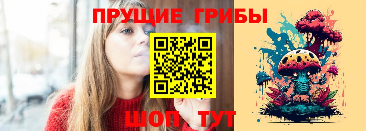 Псилоцибиновые грибы Cubensis Луга